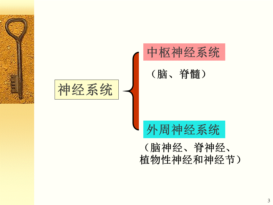 《神经系统生化》.ppt_第3页