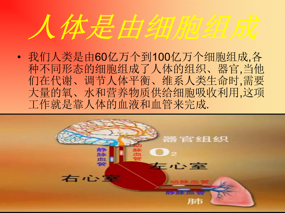 《血液疾病之高血脂》.ppt_第2页