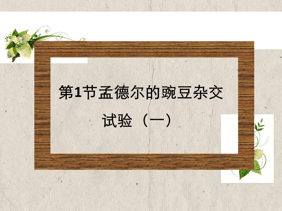 孟德尔豌豆杂交实验品.ppt_第1页