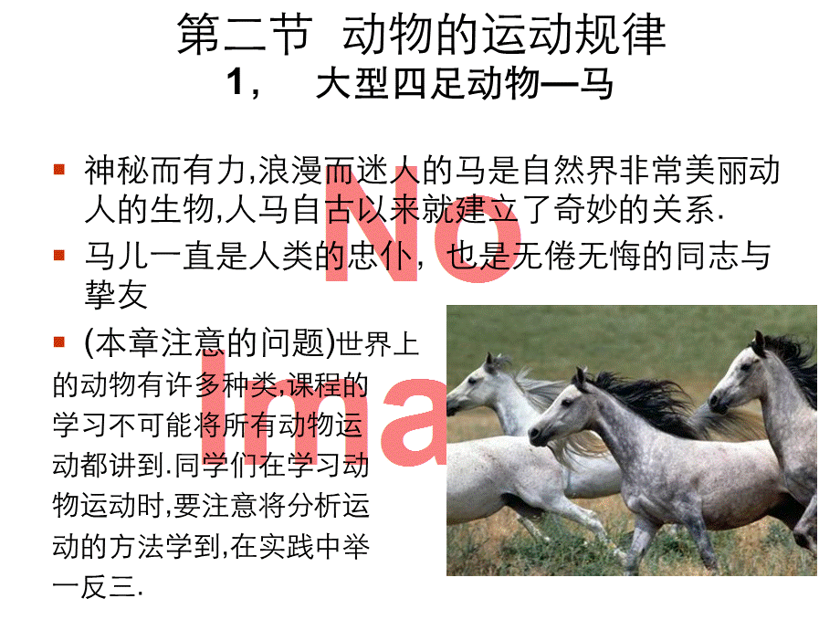 原画设计——动画运动规律动物运动.ppt_第3页