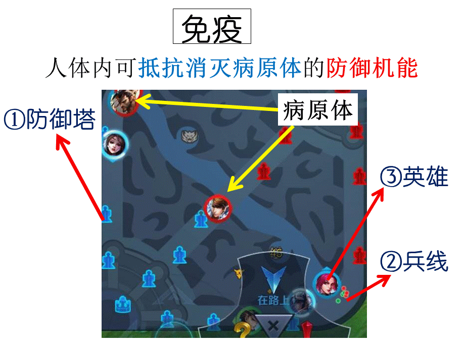 京改版八年级生物下册第十五章第二节 免疫.ppt_第2页