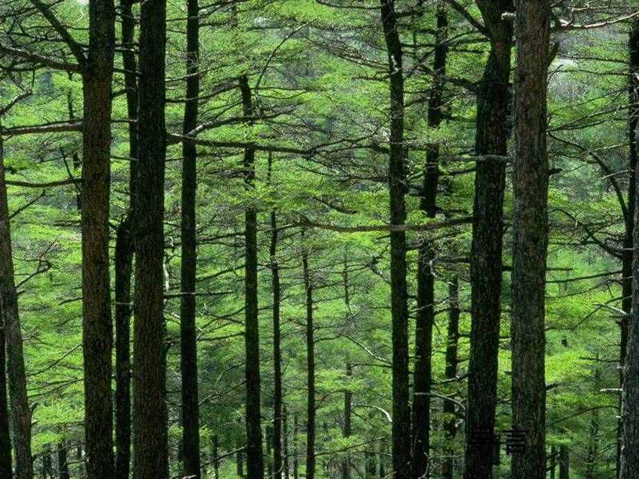 七年级生物上册《生物与环境组成生态系统》新人教版.ppt_第2页