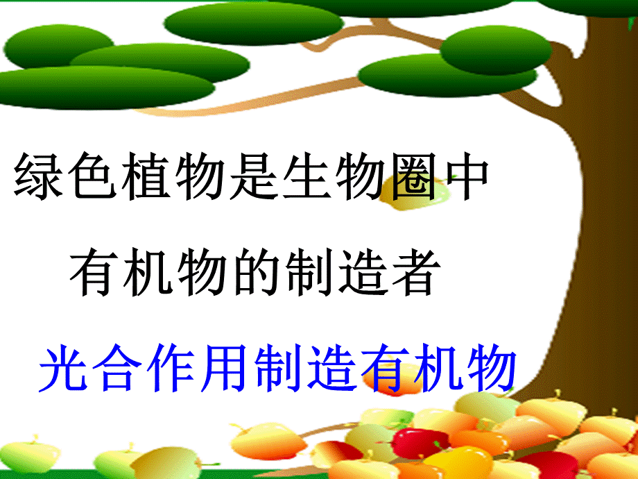 3-4-1绿色植物通过光合作用制造有机物(3).ppt_第1页