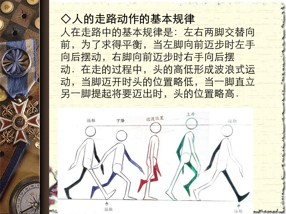 动画运动规律角色走路与跑步.ppt_第3页