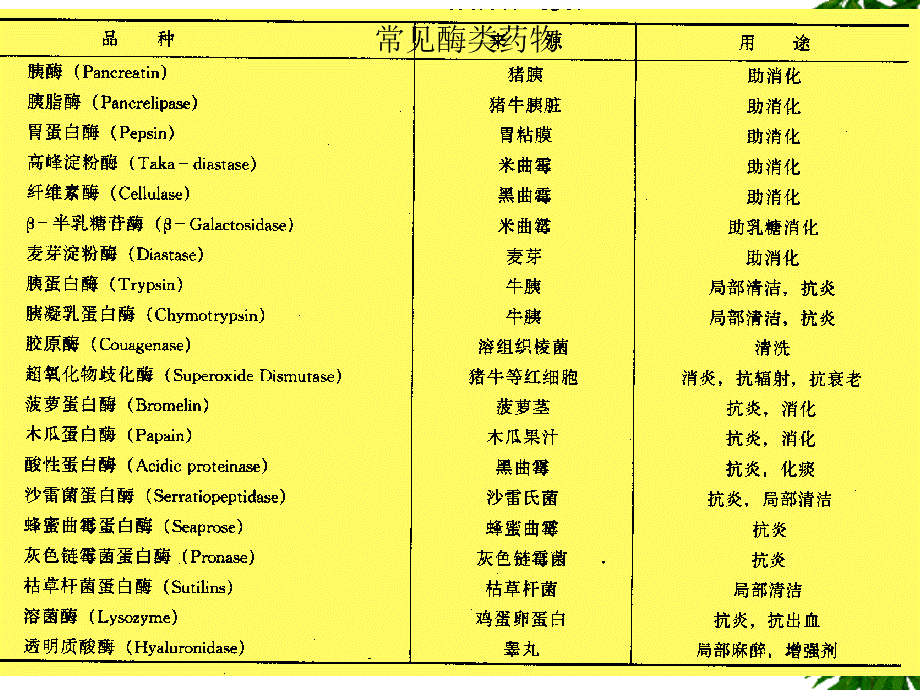 补充酶类药物及其生产工艺课件.ppt_第2页