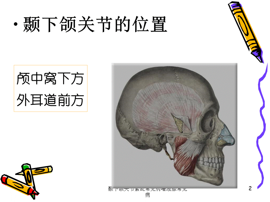 颞下颌关节紊乱常见病唾液腺常见病课件.ppt_第2页