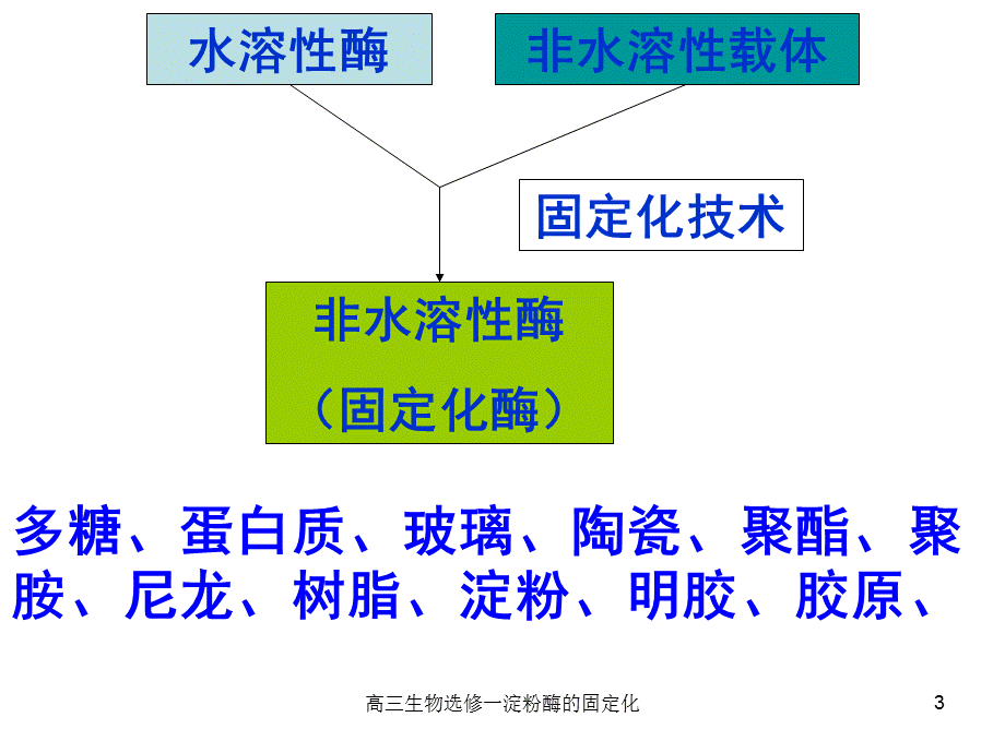 高三生物选修一淀粉酶的固定化课件.ppt_第3页