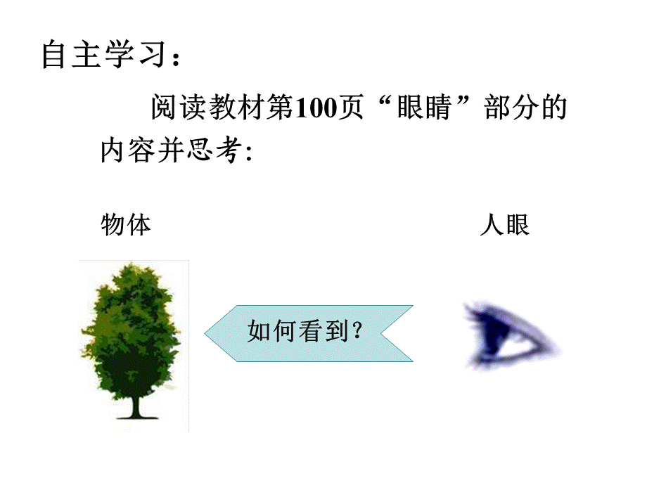 人教版八年级物理上册5.4 眼睛和眼镜课件(共15张PPT).ppt_第3页