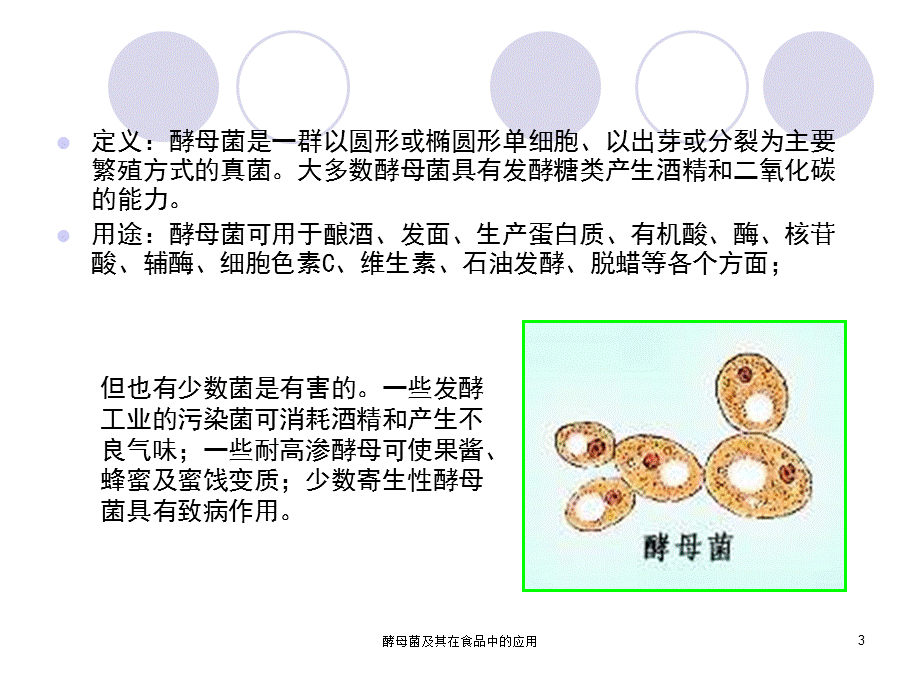 酵母菌及其在食品中的应用课件.ppt_第3页