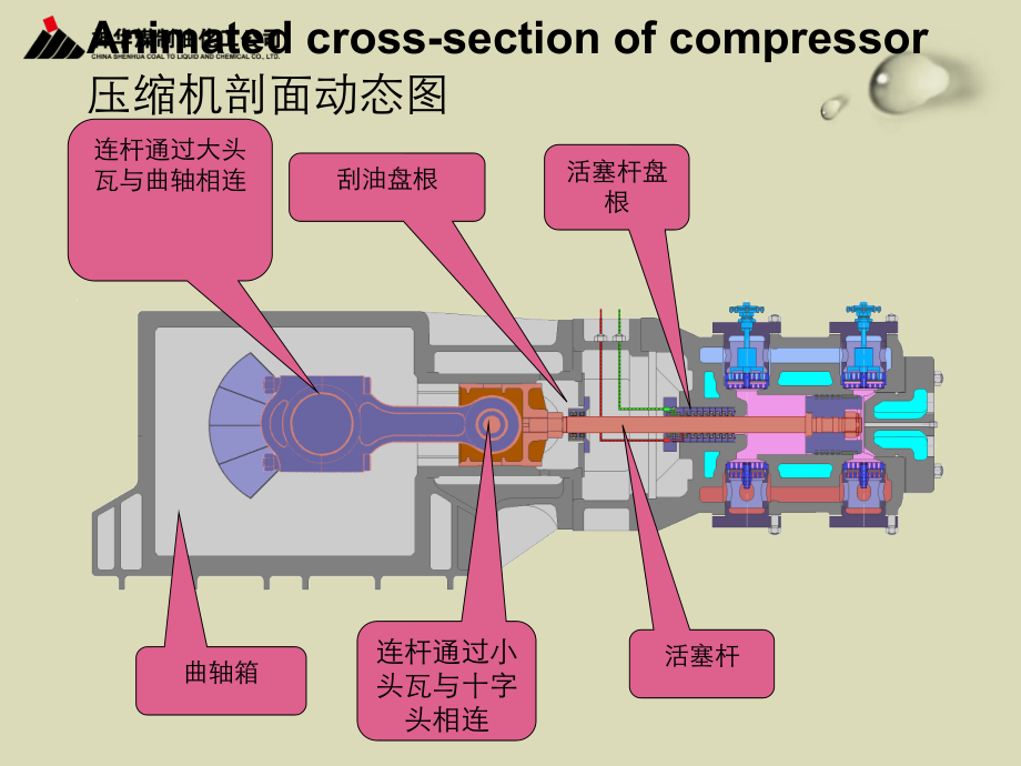 压缩机尾杆及填料泄漏分析.ppt_第1页