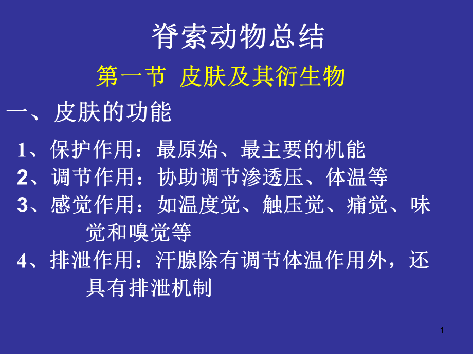 《脊索动物总结》.ppt_第1页