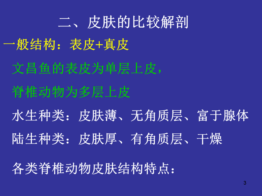 《脊索动物总结》.ppt_第3页