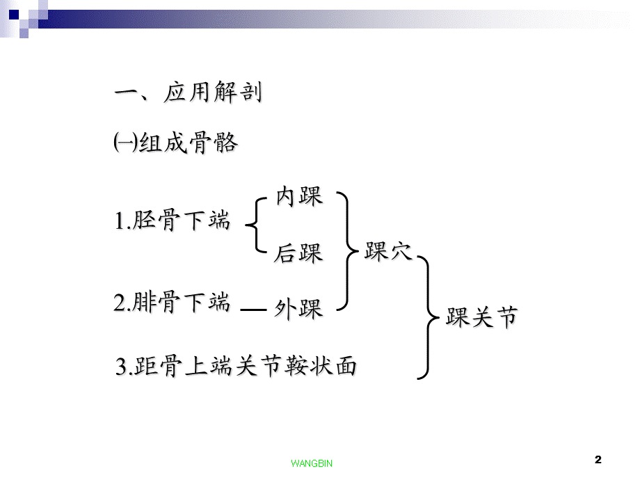 《踝骨折裴四才》.ppt_第2页