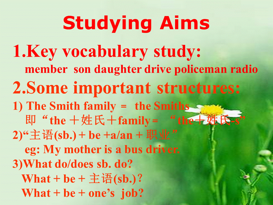 冀教2011课标版初中英语八年级下册第5单元Lesson 25 Jenny’s Family(共19张PPT).ppt_第3页