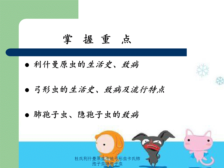 杜氏利什曼原虫刚地弓形虫卡氏肺孢子虫隐孢子虫.ppt_第2页