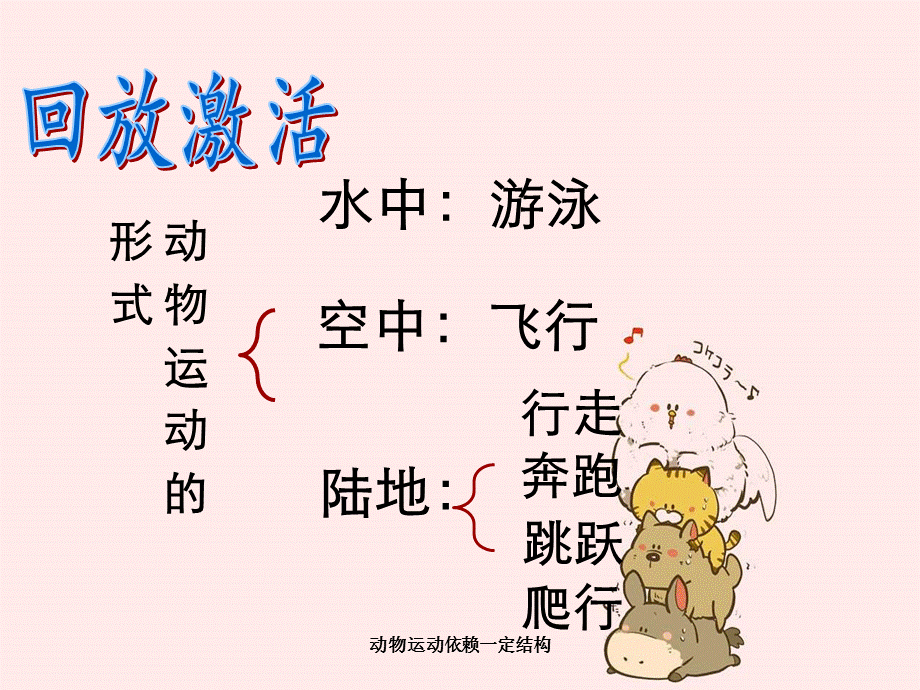 动物运动依赖一定结构.ppt_第2页