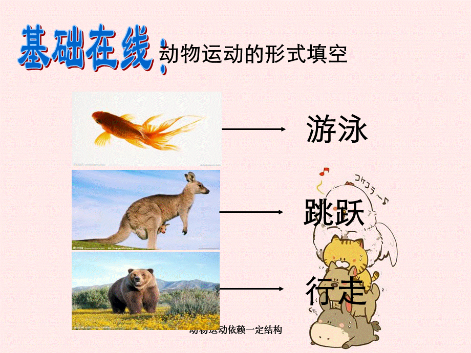 动物运动依赖一定结构.ppt_第3页