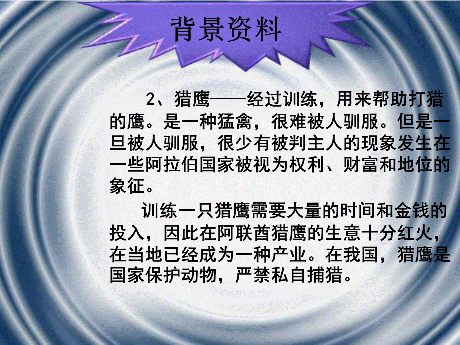 六年级上册语文课件－《猎鹰》｜北京版(共10张PPT).ppt_第3页