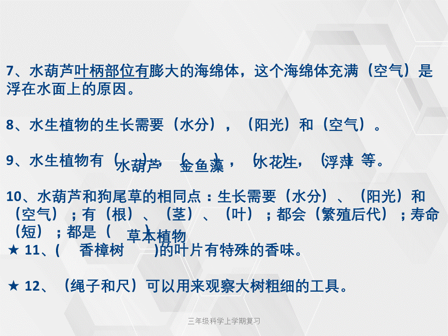 三年级科学上学期复习.ppt_第2页