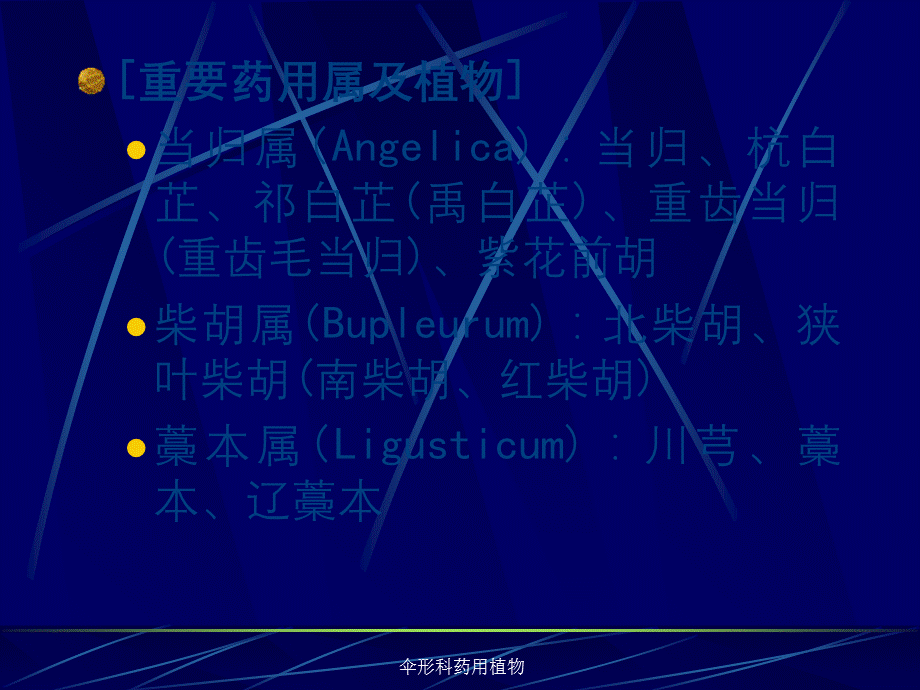 伞形科药用植物.ppt_第3页