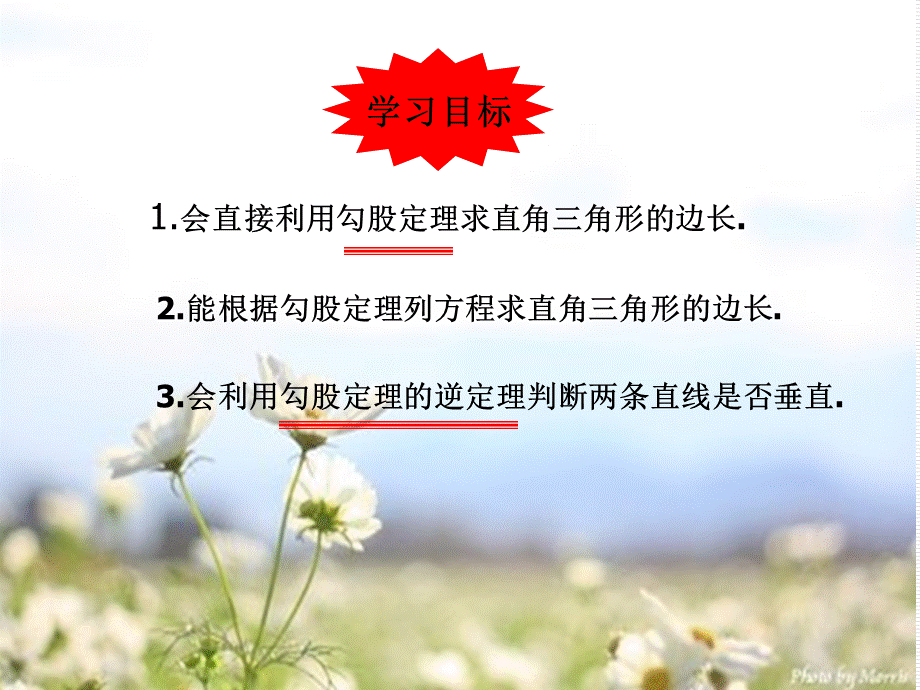 北师大版数学八年级上册课件第一章 1.3 勾股定理的应用.ppt_第2页