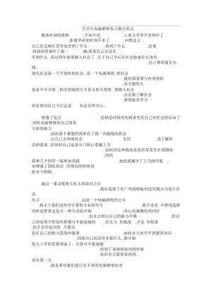 大学生电脑销售实习报告范文.docx