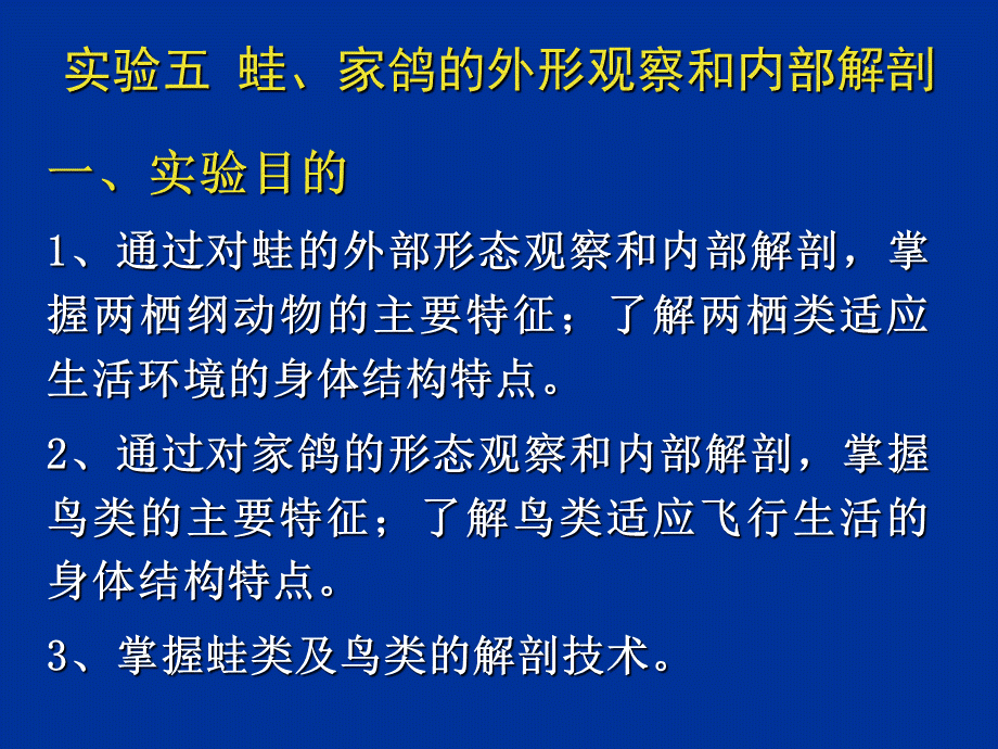 实验5蛙、家鸽的外形观察和内部解剖.ppt_第1页