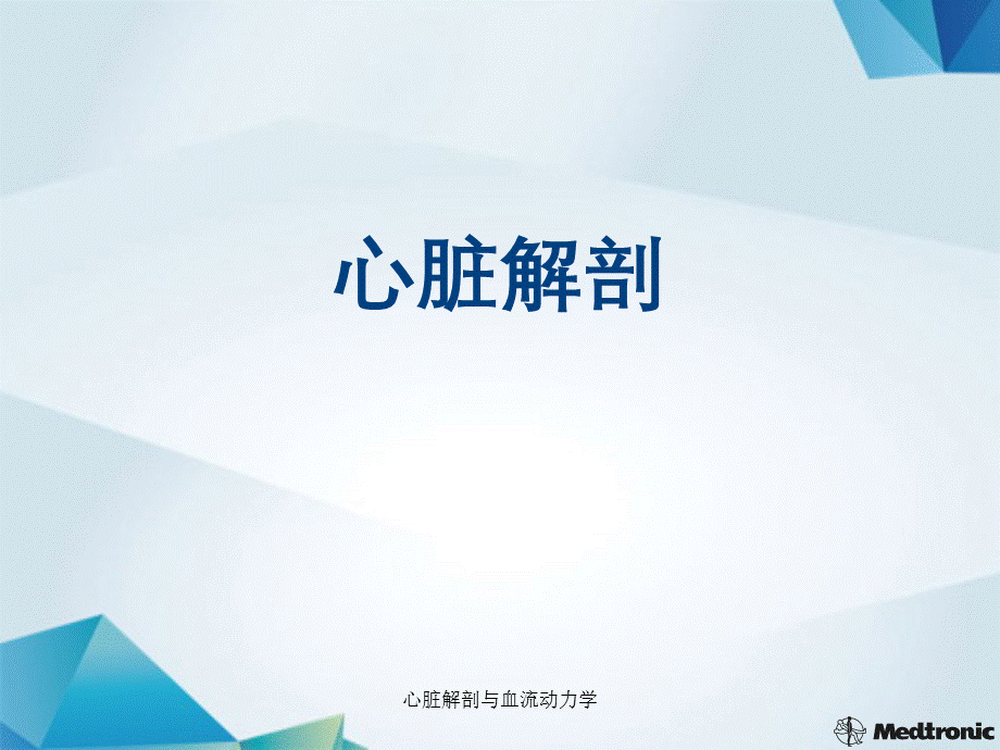 心脏解剖与血流动力学.ppt_第2页