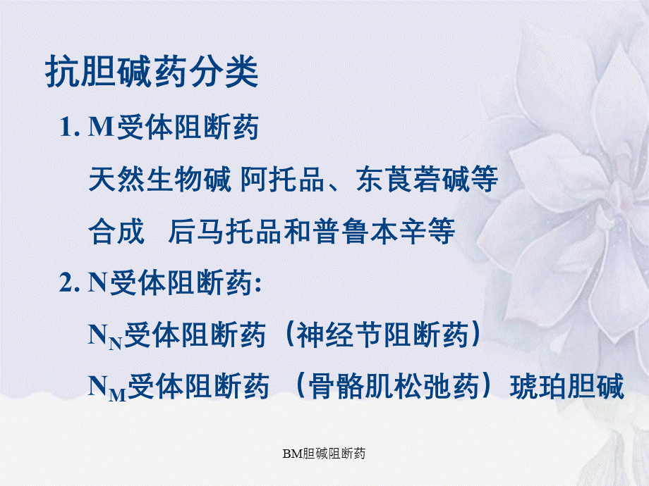 BM胆碱阻断药.ppt_第1页