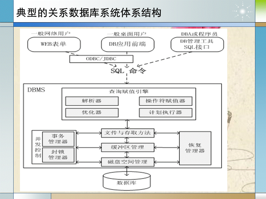 第6章关系操作符赋值.ppt_第3页