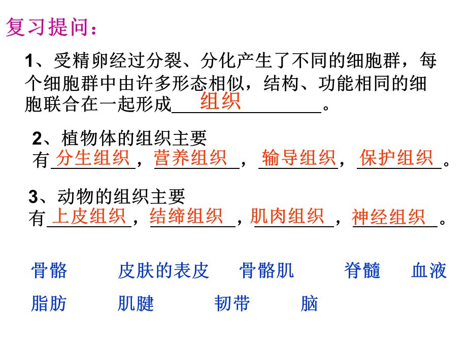 北师大版初中生物七上第二单元4.2《生物体的器官、系统》课件.ppt_第1页