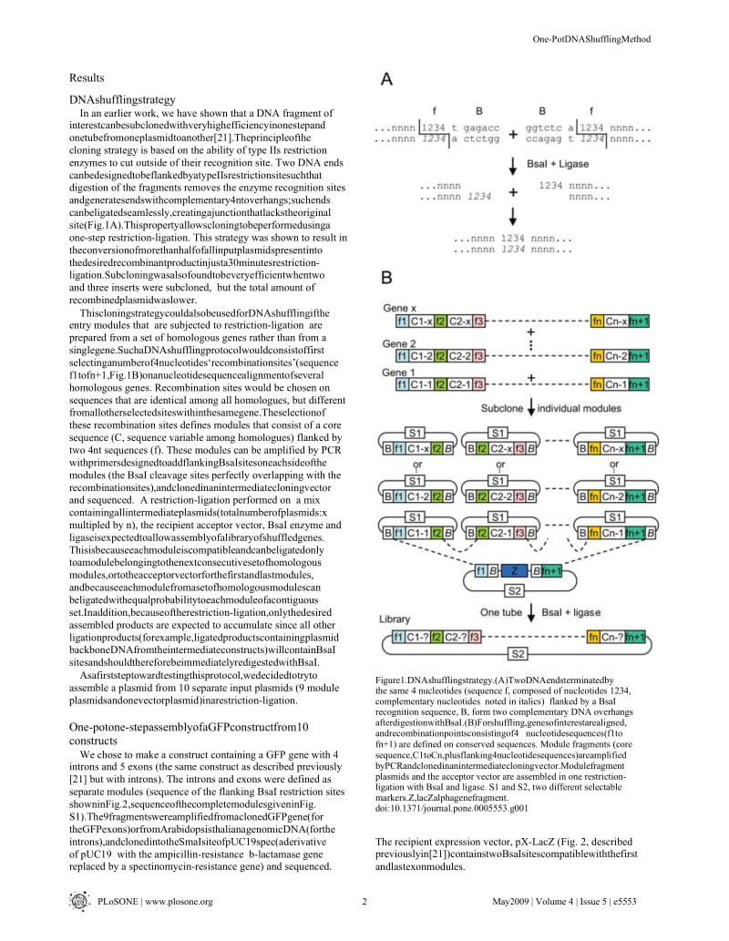 Golden Gate Shuffling A One-Pot DNA Shuffling Method Based on Type IIs Restriction Enzymes.doc_第2页