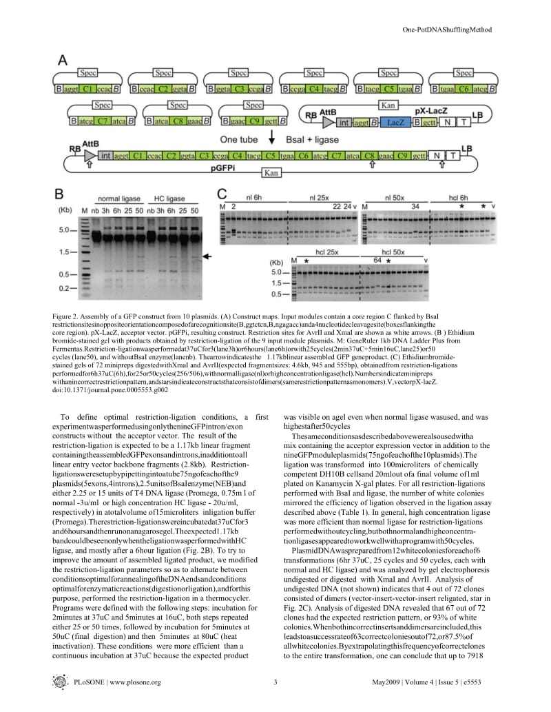 Golden Gate Shuffling A One-Pot DNA Shuffling Method Based on Type IIs Restriction Enzymes.doc_第3页