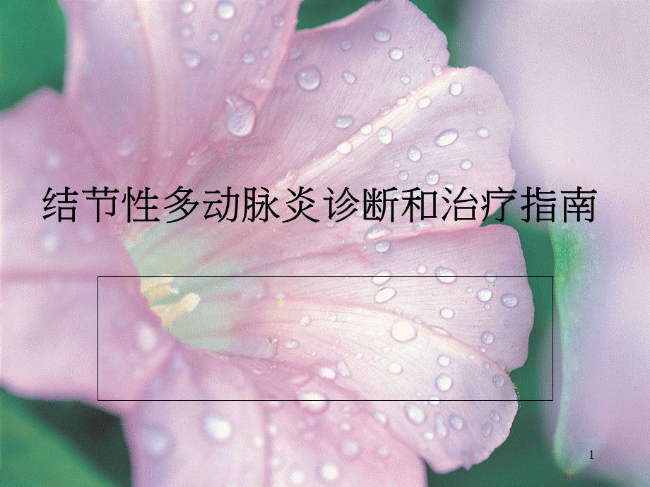 结节性多动脉炎诊断和治疗指南.ppt_第1页