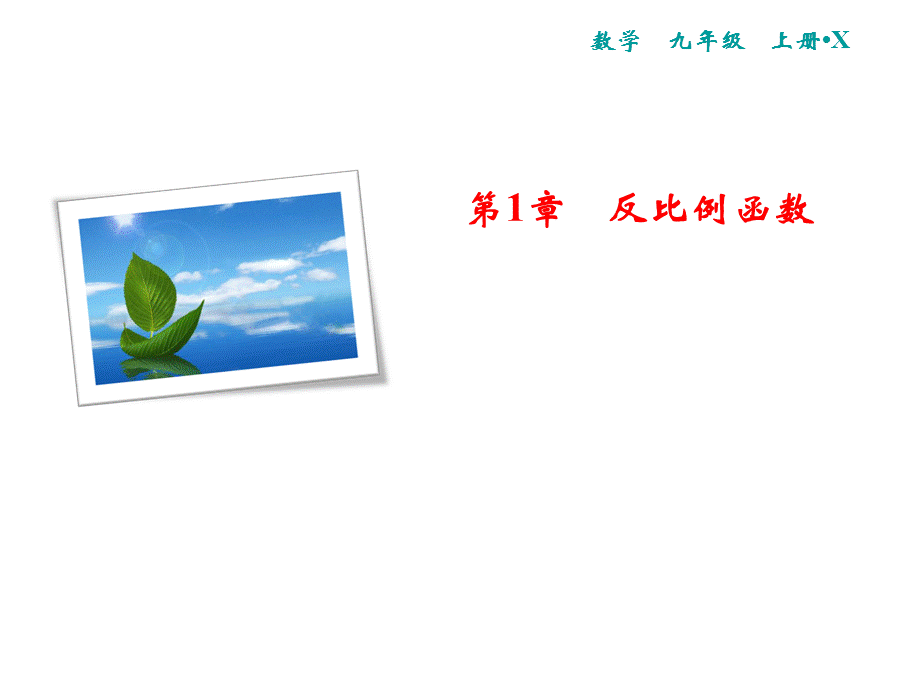 2018年秋湘教版九年级数学上册习题课件：1.1　反比例函数.ppt_第1页