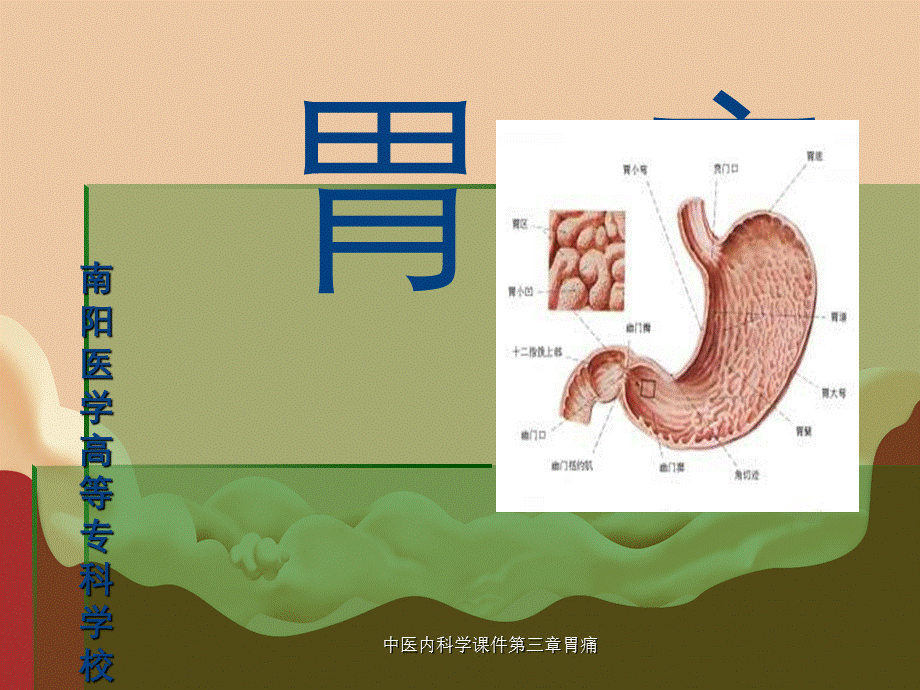 中医内科学课件第三章胃痛.ppt_第1页