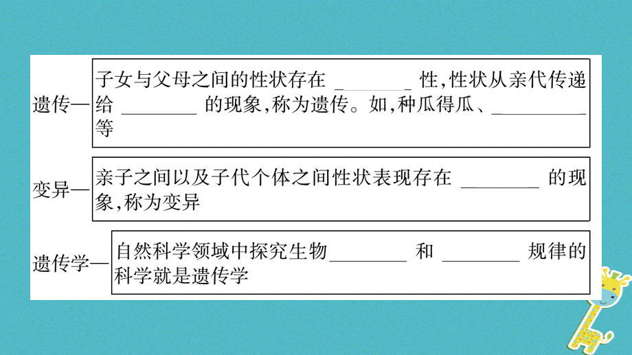 广西省玉林市2018年八年级生物上册第6单元第20章第1节遗传和变异现象课件新版北师大版2018071747.ppt_第3页