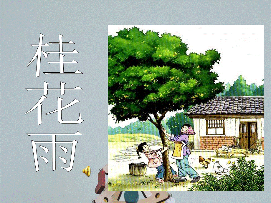 桂花雨完美版ppt.ppt_第2页