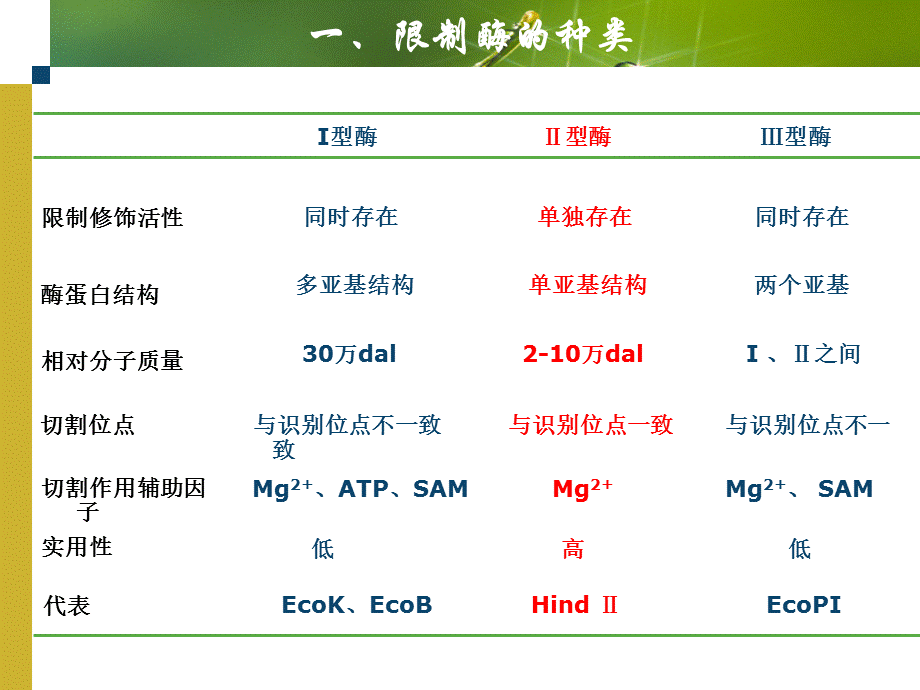 基因工程常用的工具酶.ppt_第3页