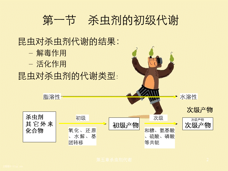 第五章杀虫剂代谢.ppt_第2页