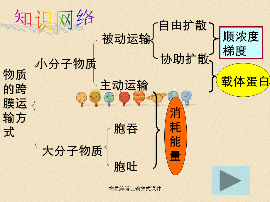 物质跨膜运输方式课件.ppt_第3页