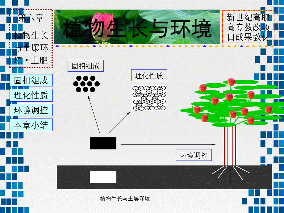 植物生长与土壤环境.ppt_第2页