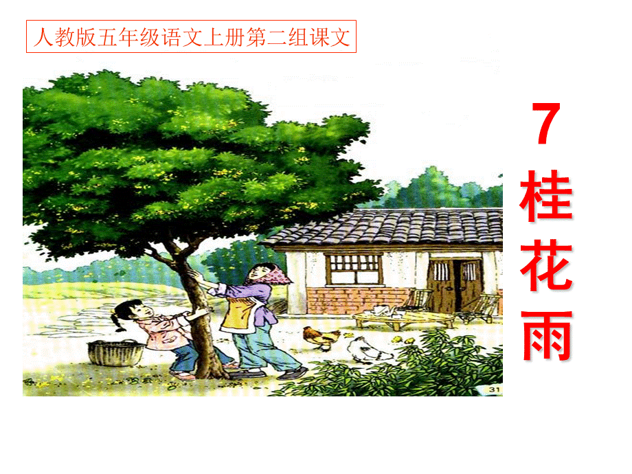 7五年级语文上册《桂花雨》课件.ppt_第1页