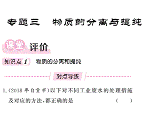 2018－2019学年人教化学九年级下专题导练课件 ：专题三 物质的分离与提纯.ppt