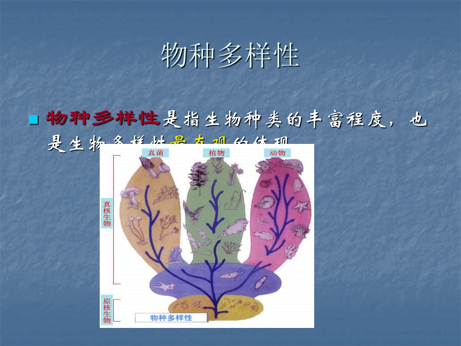 苏教版生物八上15.1《生物多样性》ppt课件 .ppt_第3页