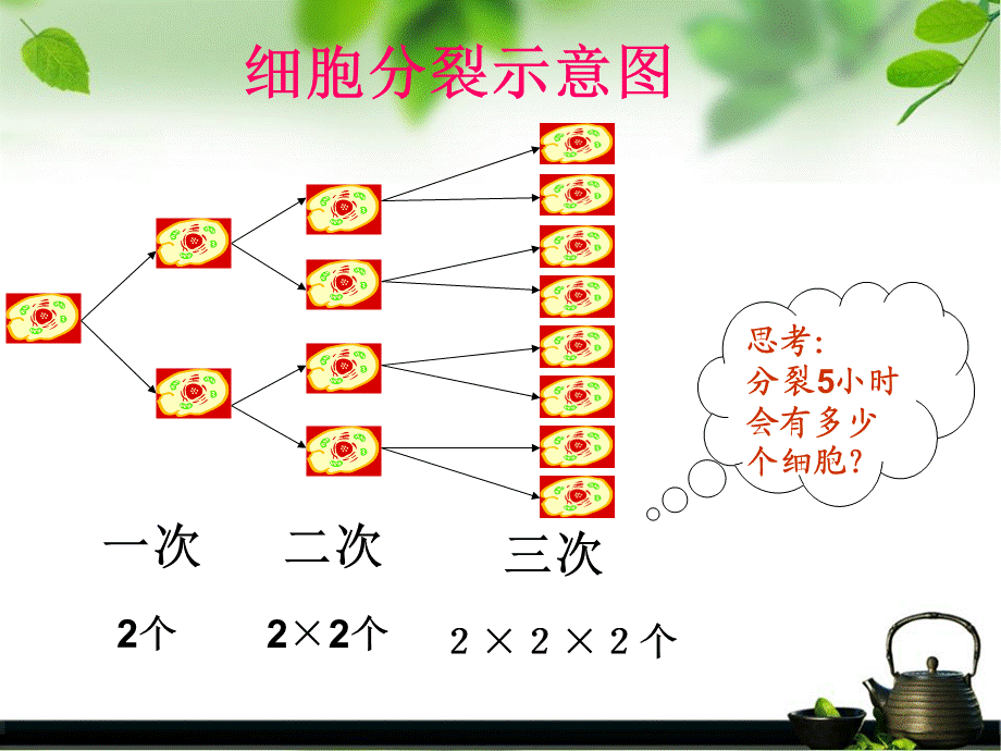 北师大版七年级上册课件：2.7有理数的乘方(共23张PPT).ppt_第2页