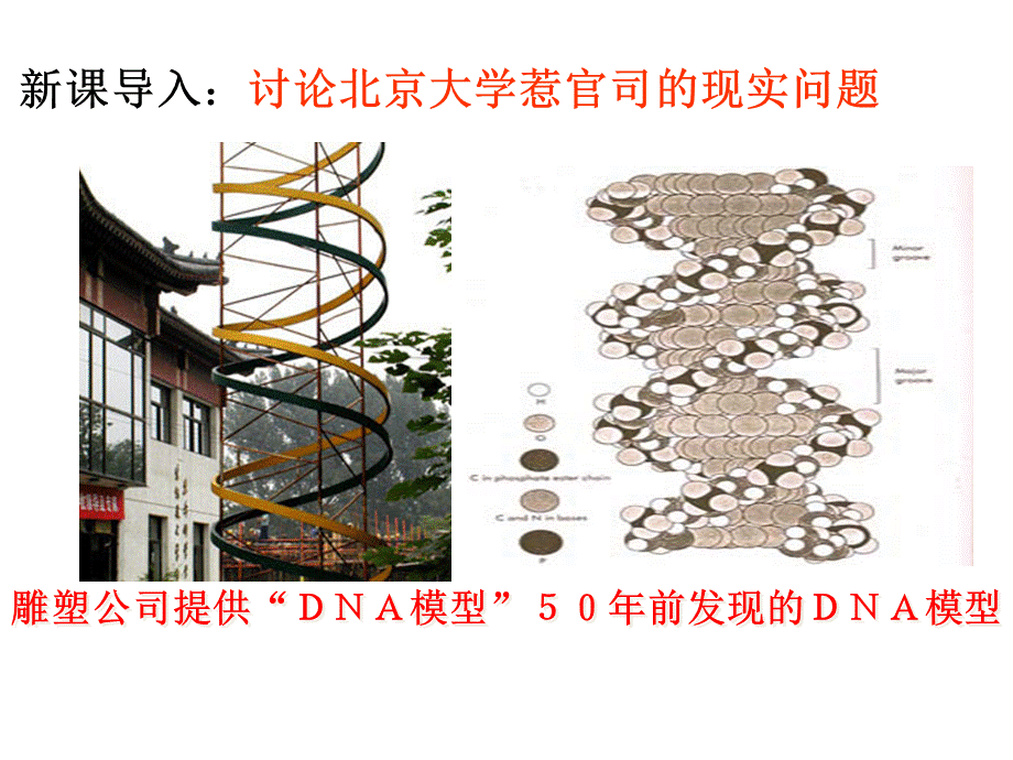 DNA分子结构设计二.ppt_第2页