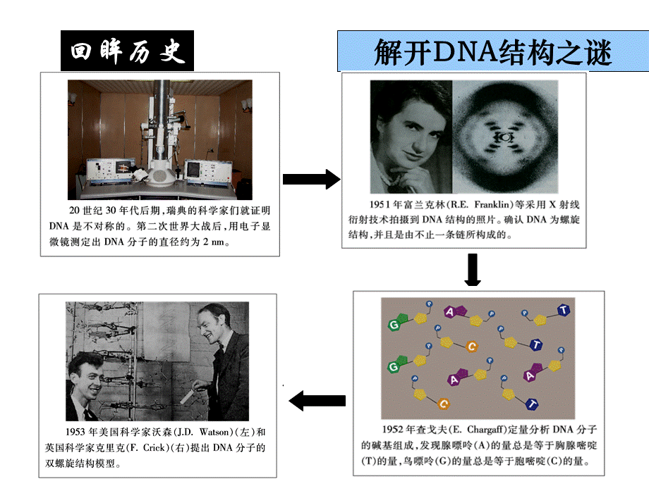 DNA分子结构设计二.ppt_第3页