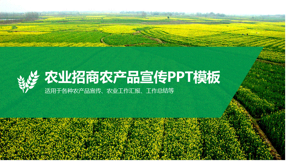 现代农业发展新模式介绍农业招商农产品宣传PPT.pptx_第1页