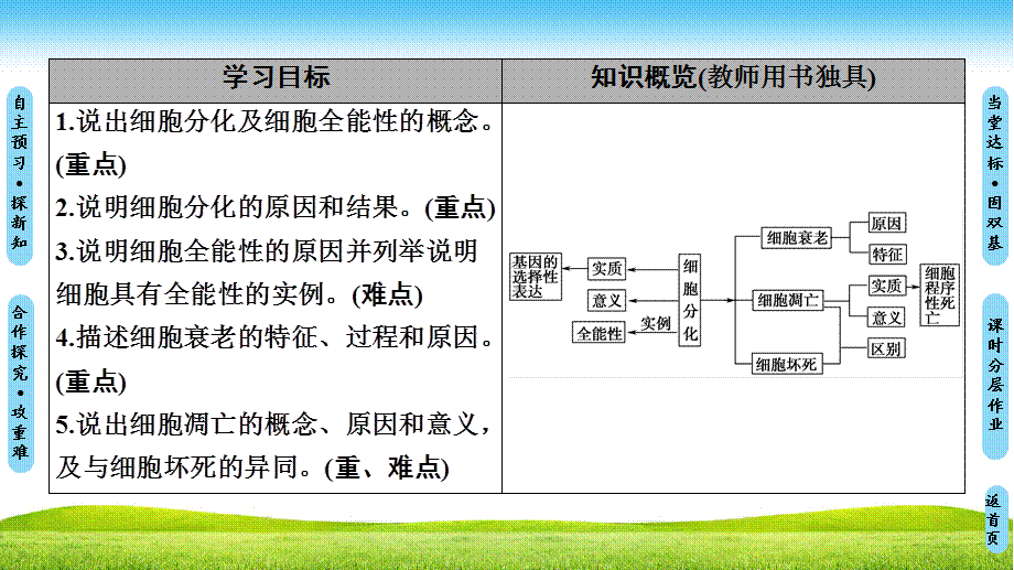 18-19 第5章 第2节 细胞分化、衰老和凋亡.ppt_第2页